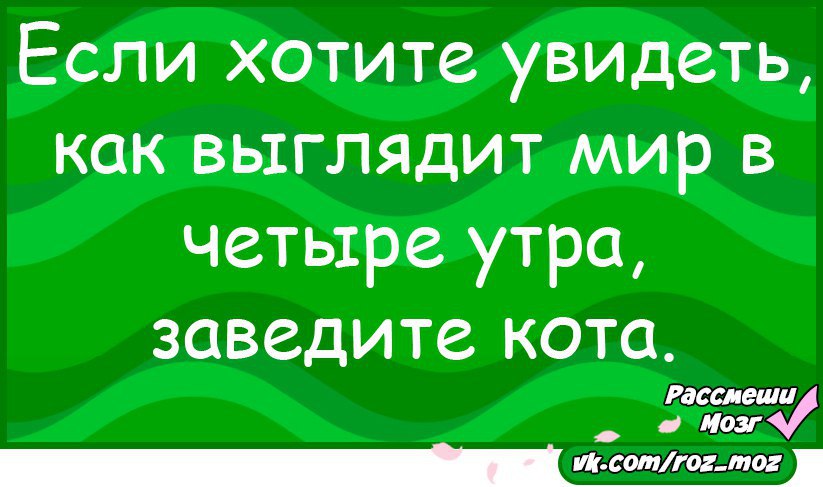 Рассмеши мозг анекдоты в картинках