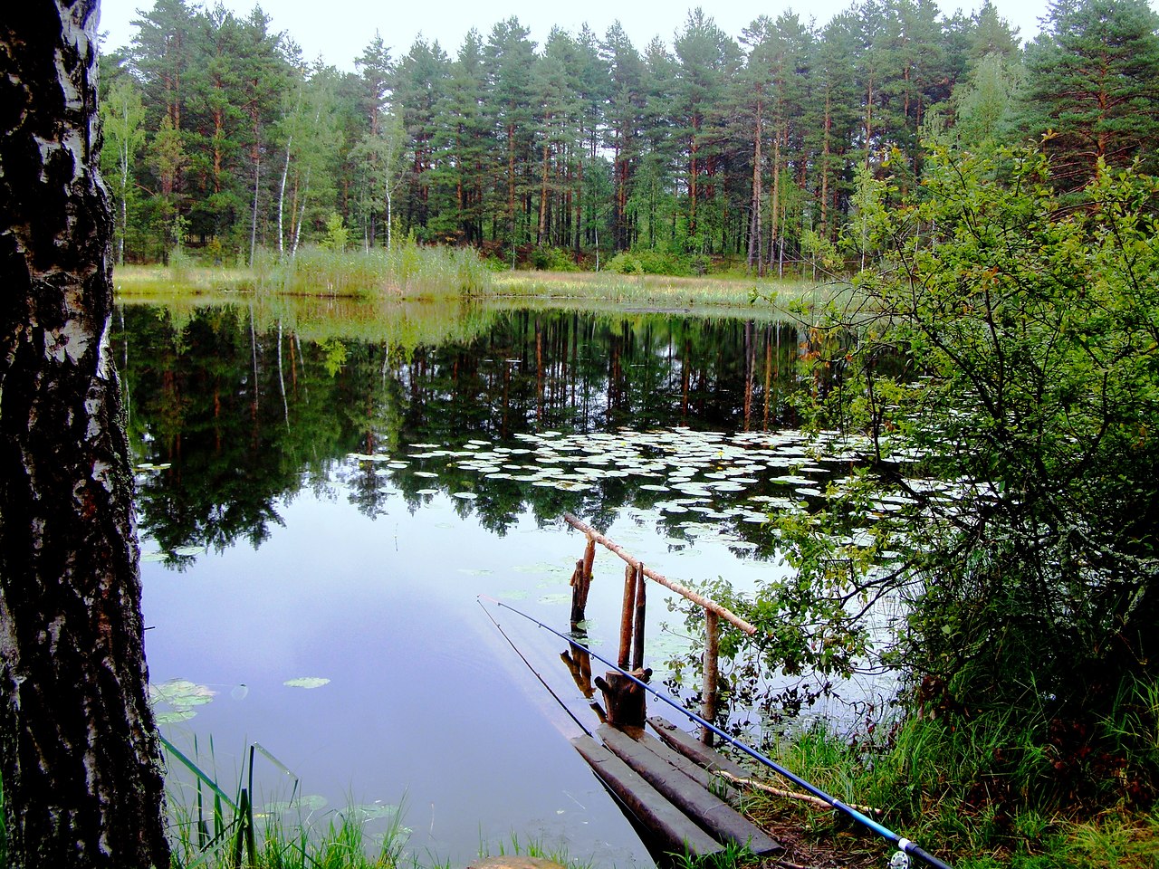 Озеро Лесное Борский район