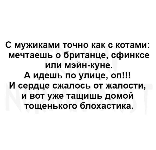 Воспользовался отсутствием жены и притащил домой горячую шлюшку