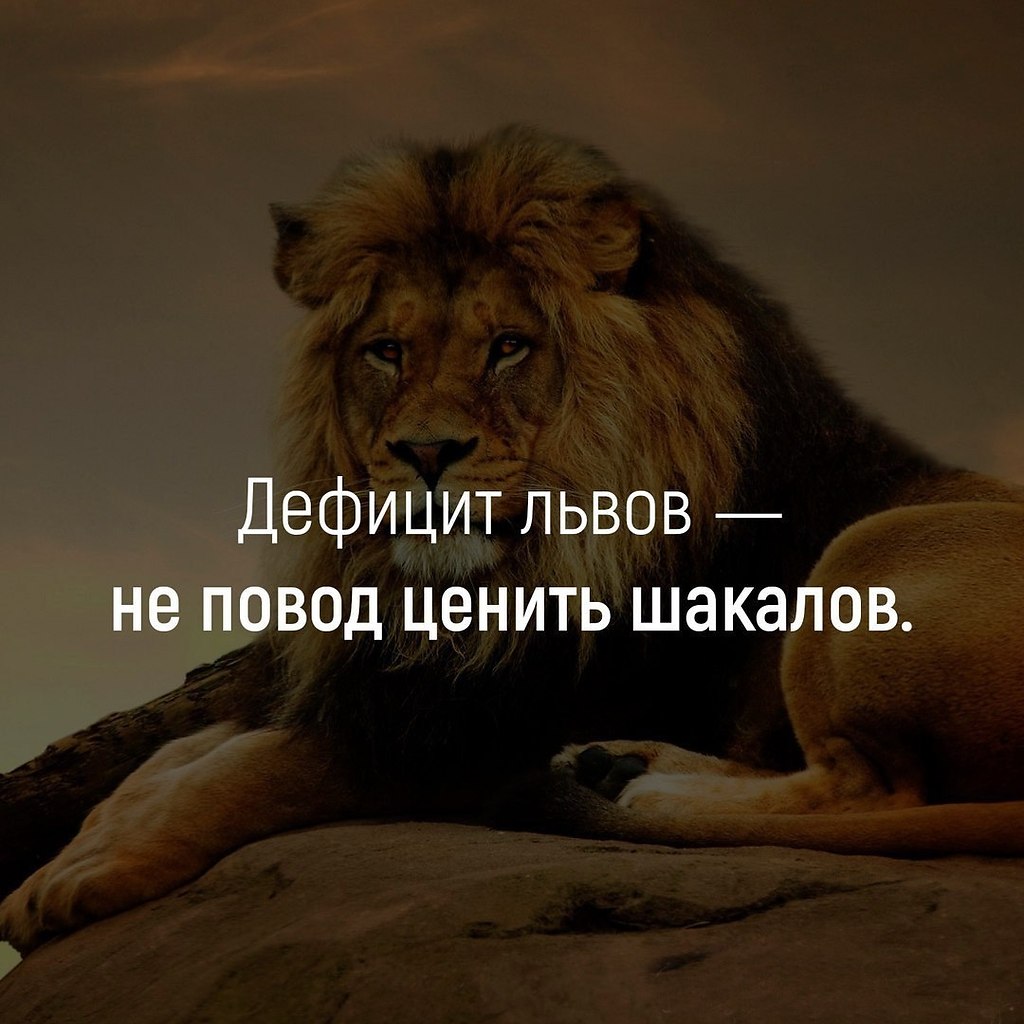 Фразы про Льва