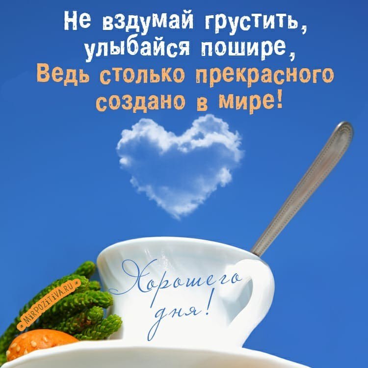 Позитивное Поздравление Доброго Дня Позитивное Поздравление Доброго Дня