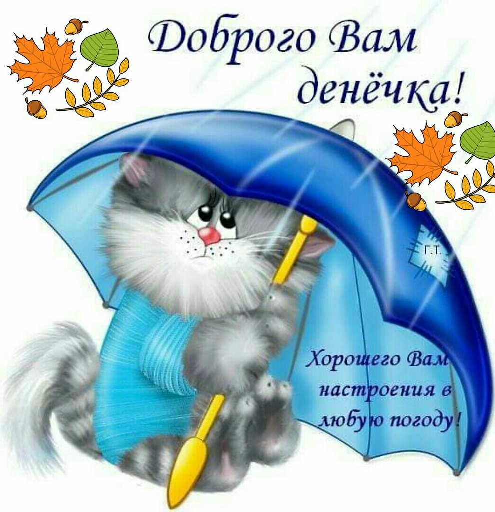 Поздравления С Хорошей Погодой