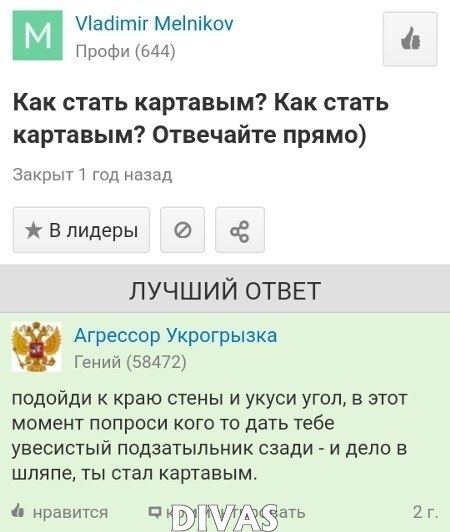 Куни Ответы Майл Ру