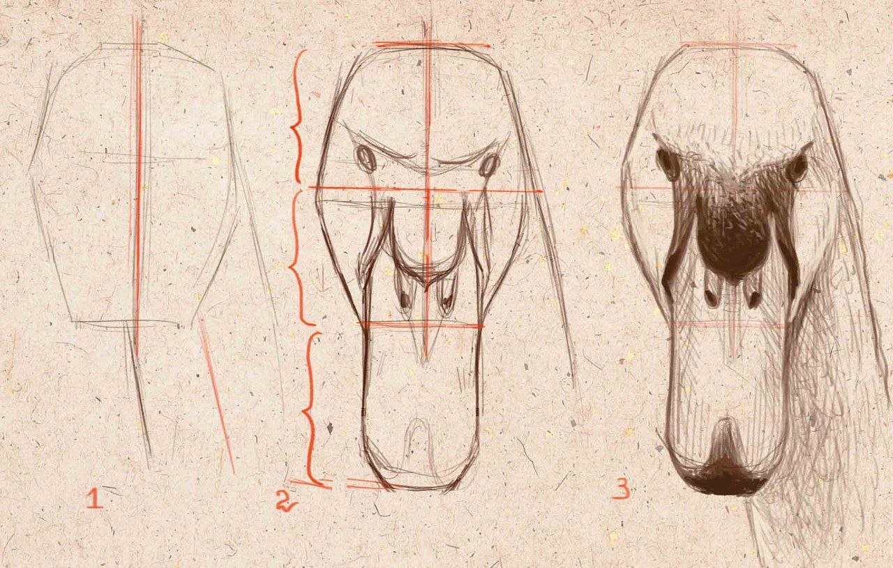 Голова лебедя рисунок