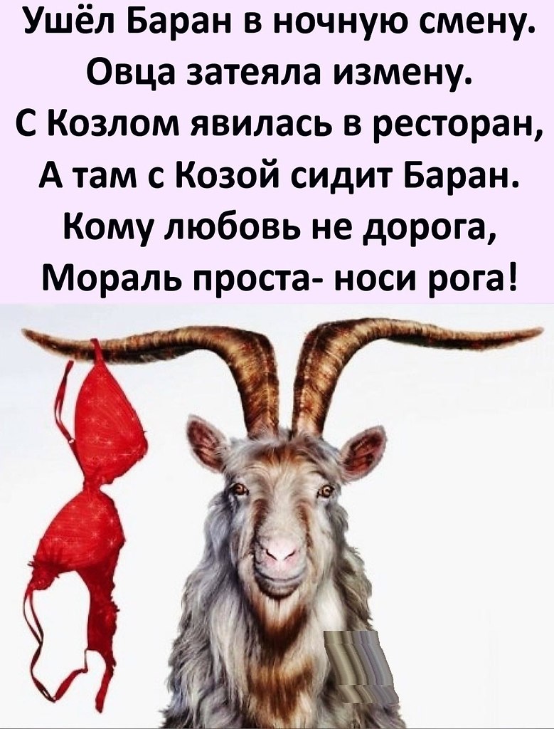 Гороскоп Год Овцы Козы