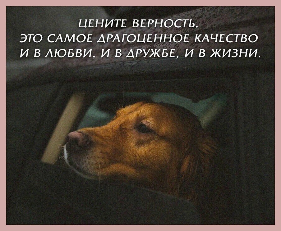Картинки Со Смыслом Про Верность