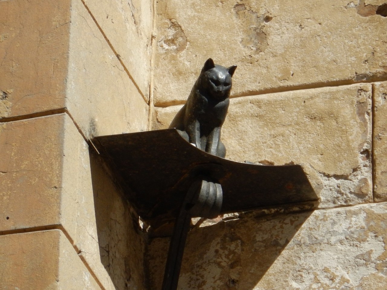 памятник коту в санкт петербурге