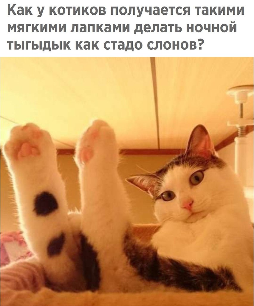 Мем тыгыдык