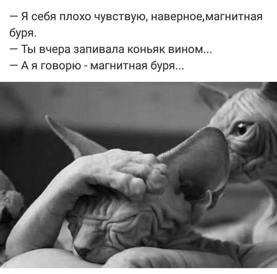 Как себя чувствуешь картинка