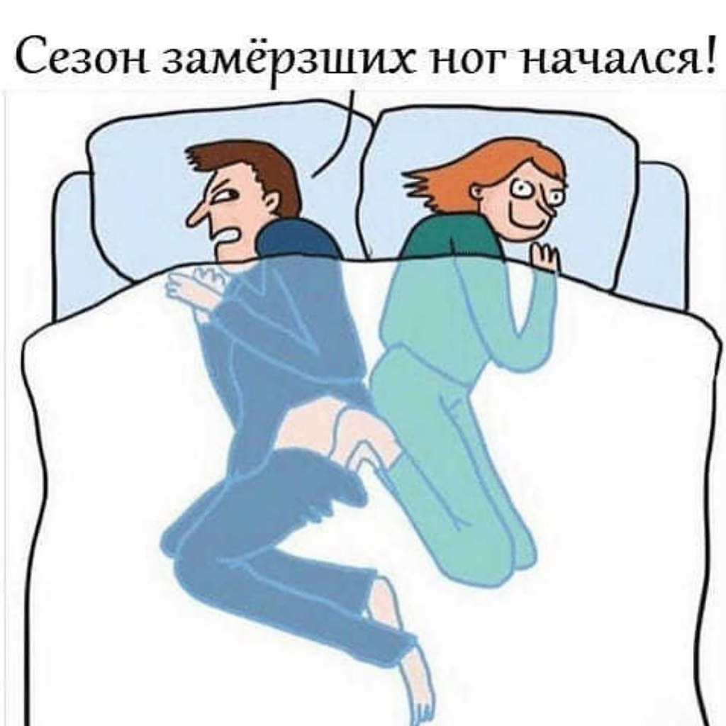 Не любит света боится холода и носит мундир