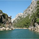 Животные Турции Фото