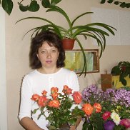 Светлана, 51 год, Артемовск