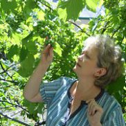 лана, 59 лет, Харцызск лана, 59 лет, Харцызск