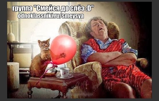 Сейчас я тебе припомню и веник, и ветеринара)))