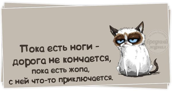 мишулину пока есть ноги есть дороги картинка тетки