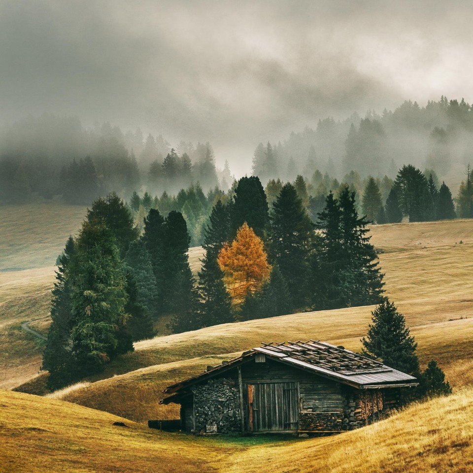 Скандинавский пейзаж с домиком