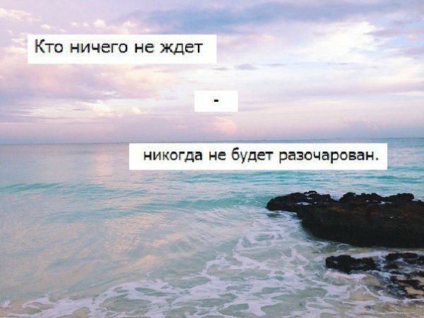 Вид никогда. Кто ничего не ждет никогда не будет разочарован. Ничего не ожидай и никогда не будешь разочарован. Ни от кого ничего не жди цитаты. Ни от кого ничего не жди и не будешь разочарован.