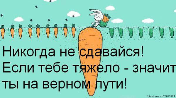 На этом вы на верном. Если тебе тяжело значит ты на верном пути. Никогда не сдавайся если тебе тяжело значит ты на верном пути. Никогда не сдавайся если тебе тяжело. Если тебе тяжело значит ты на верном пути картинки.