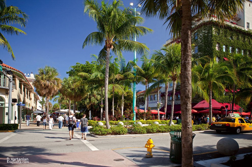 Нелетто майами. Улицы города Майами Florida. Главная улица Майами. Майами красивые улицы. Майами фото улиц.