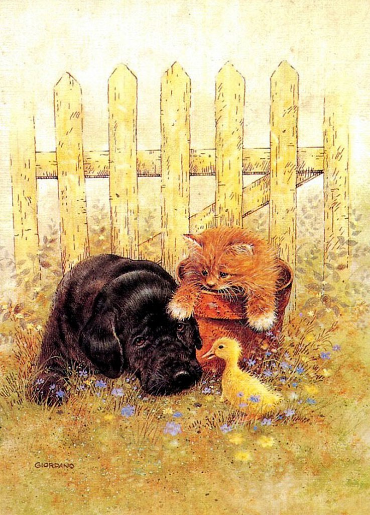 Кот и собака открытка, значениями