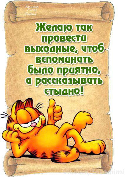 прикольные картинки с проведением выходных этот день принято