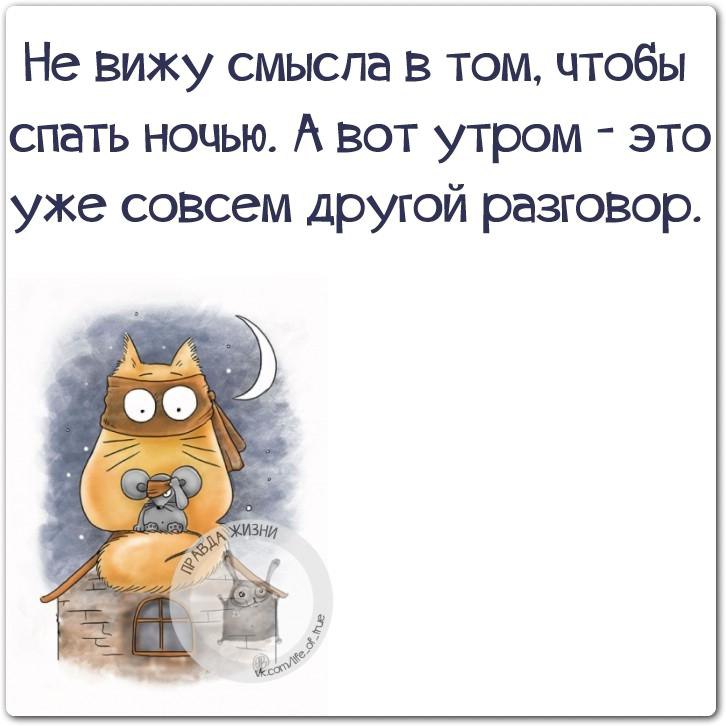 Не вижу смысла работать. Правда жизни. Правда жизни цитаты. Правда жизни картинки прикольные. Суровая правда жизни цитаты.