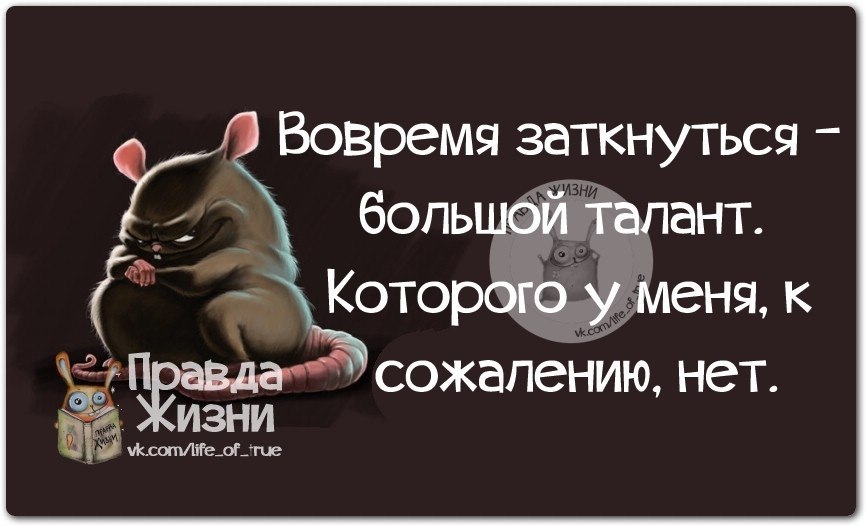 Прикинуться шлангом. К сожалению нет. День студента демотиватор. Сожаление. Правда жизни юмор.