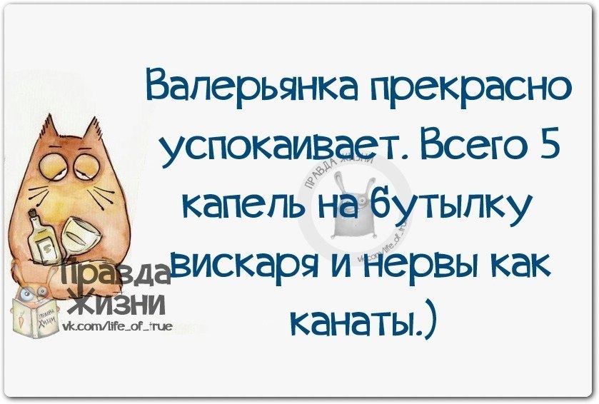 Картинка валерьянка прикол