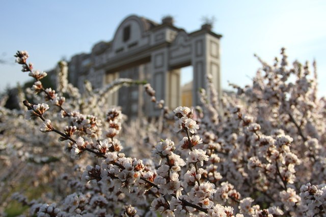 Весна в красноярске фото