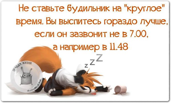 Котята, высыпайся отдыхай открытка
