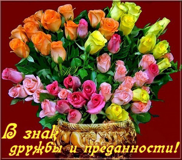 Вместо 1000 Слов Картинки
