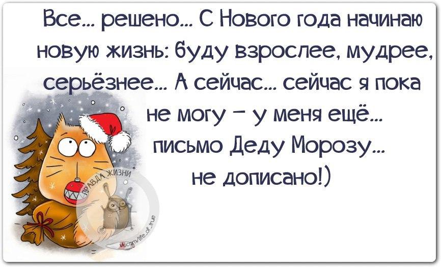 Смешные планы на жизнь