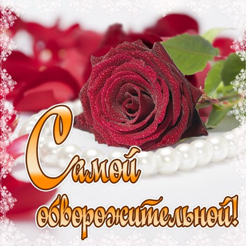 Про стерв, открытки любимой светочке