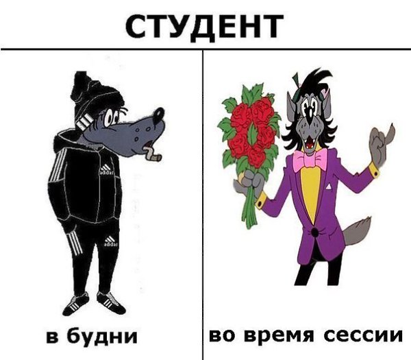 Прикол картинки на армянском, тюльпанов букеты как