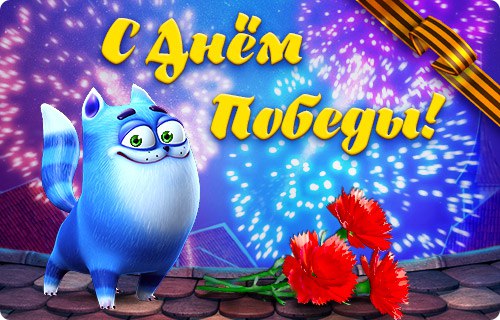 Собаки, день победы картинка с котом