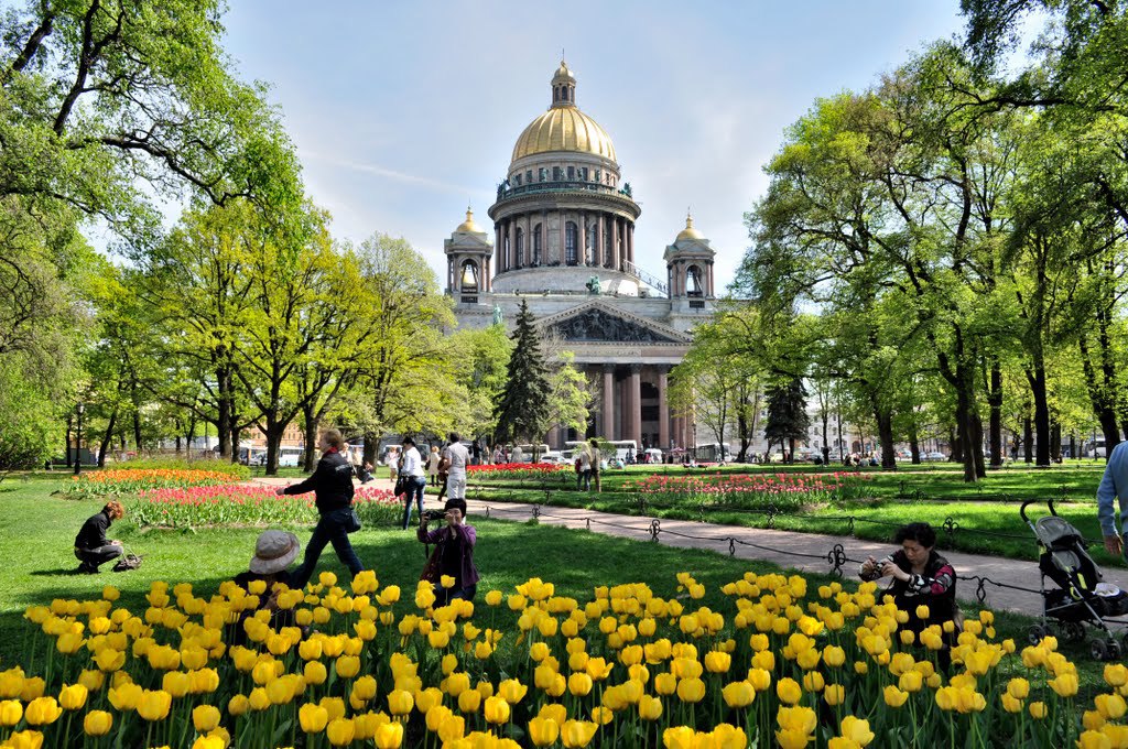 Александровский сад в санкт петербурге