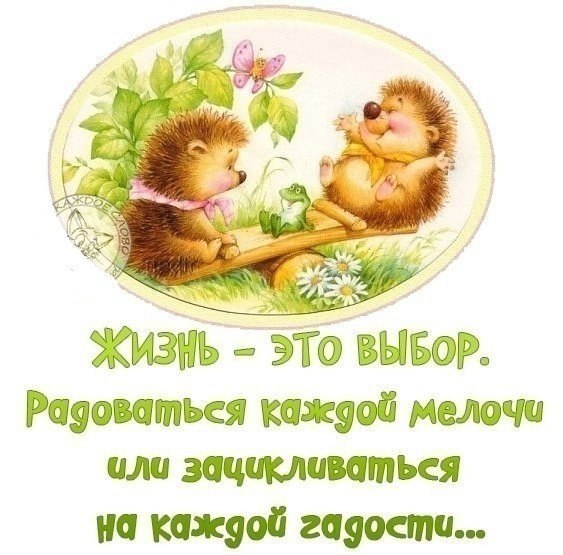 Планы на сегодня радоваться жизни