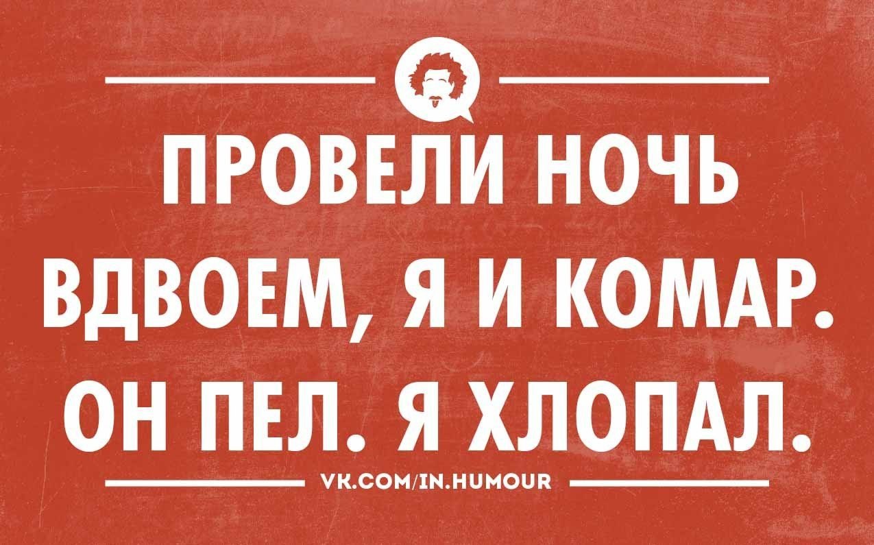 Картинка юмор на ночь