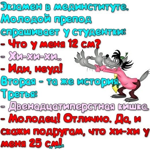 Шутки анекдоты приколы в картинках с надписями