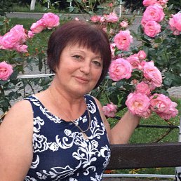 , 63 , 
