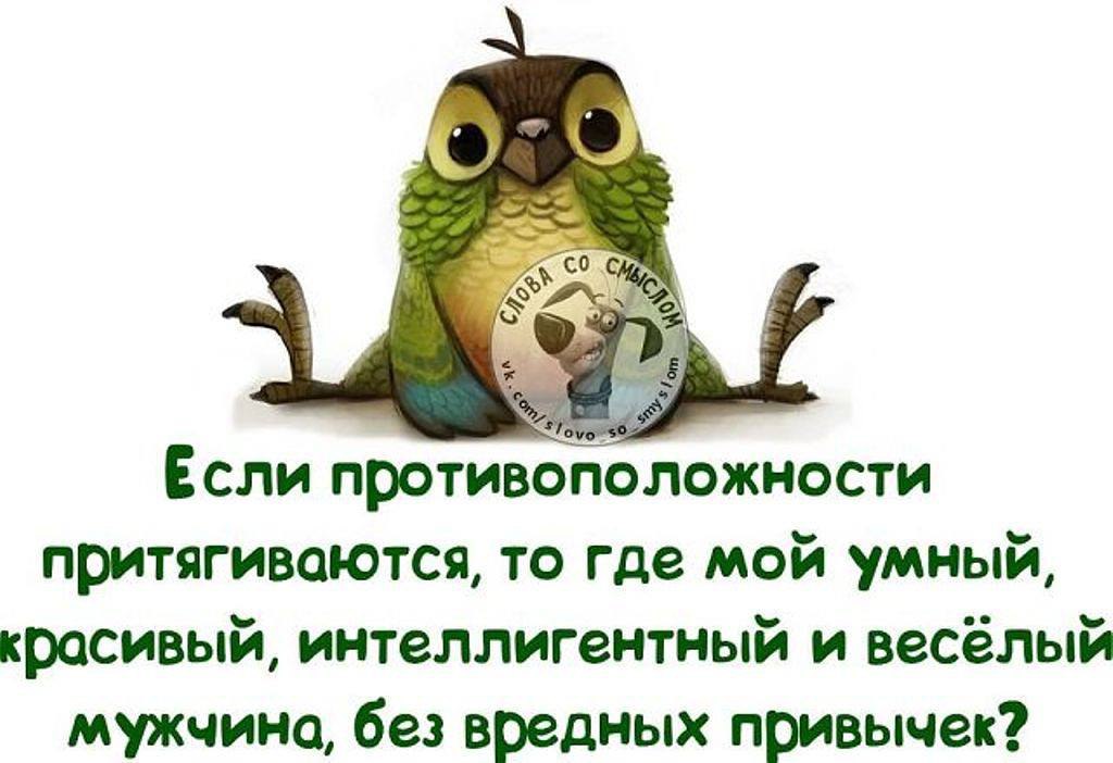 Женщина создана делать мужчину счастливым где бы этот несчастный не прятался картинка