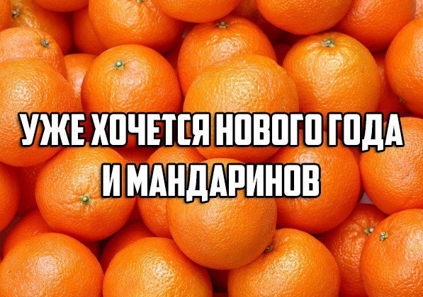 Девочка мандаринка сладкая картинка