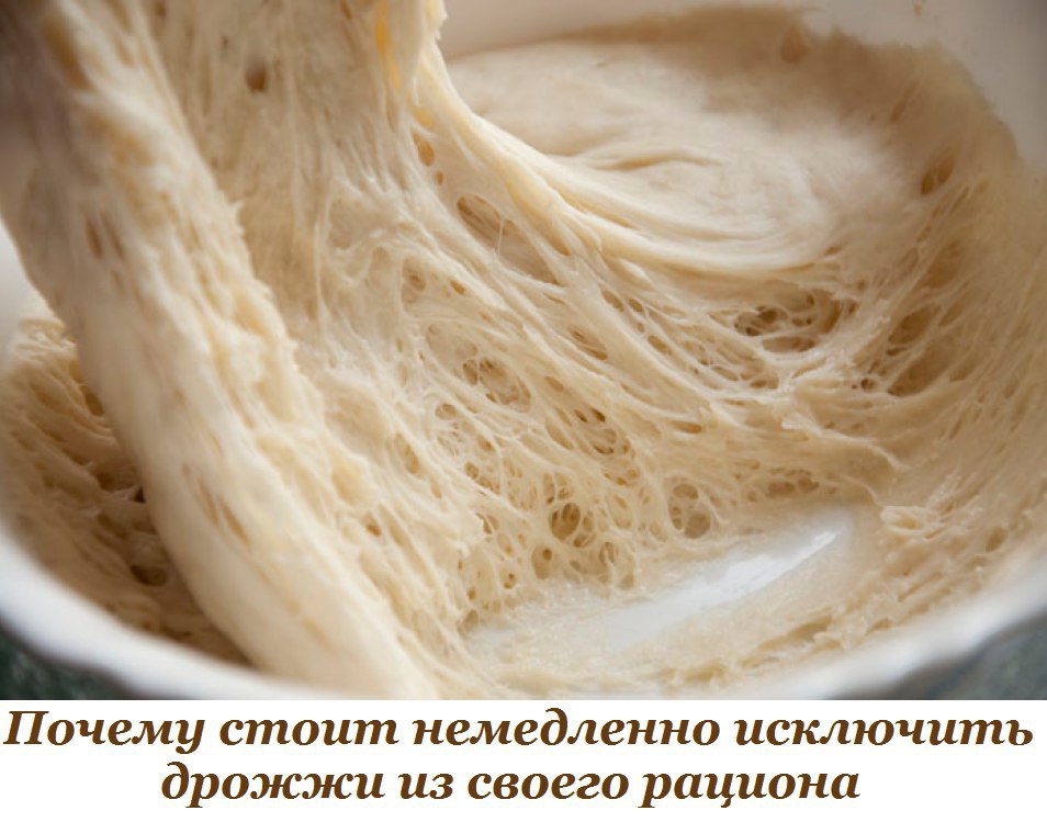 Что Такое Дрожжи Фото