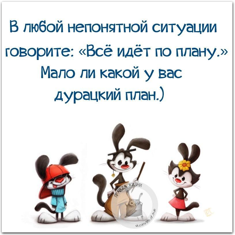В любой ситуации говори все идет по плану мало ли какой у тебя