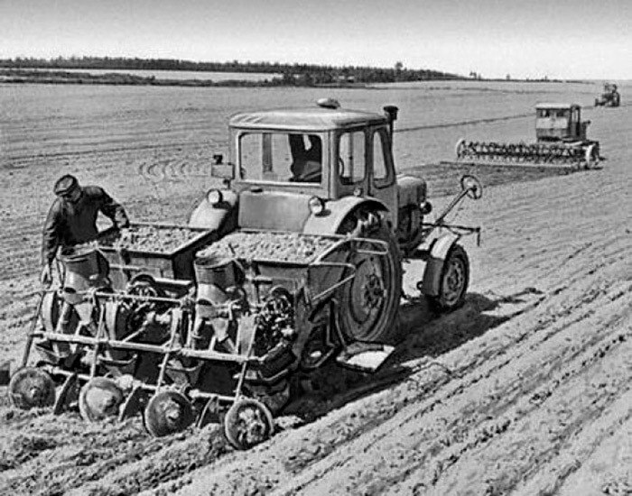 Советское хозяйство. МТЗ 50 посевная. Сельское хозяйство в СССР В 70-80. Колхозы и Совхозы. Трактор колхоз.