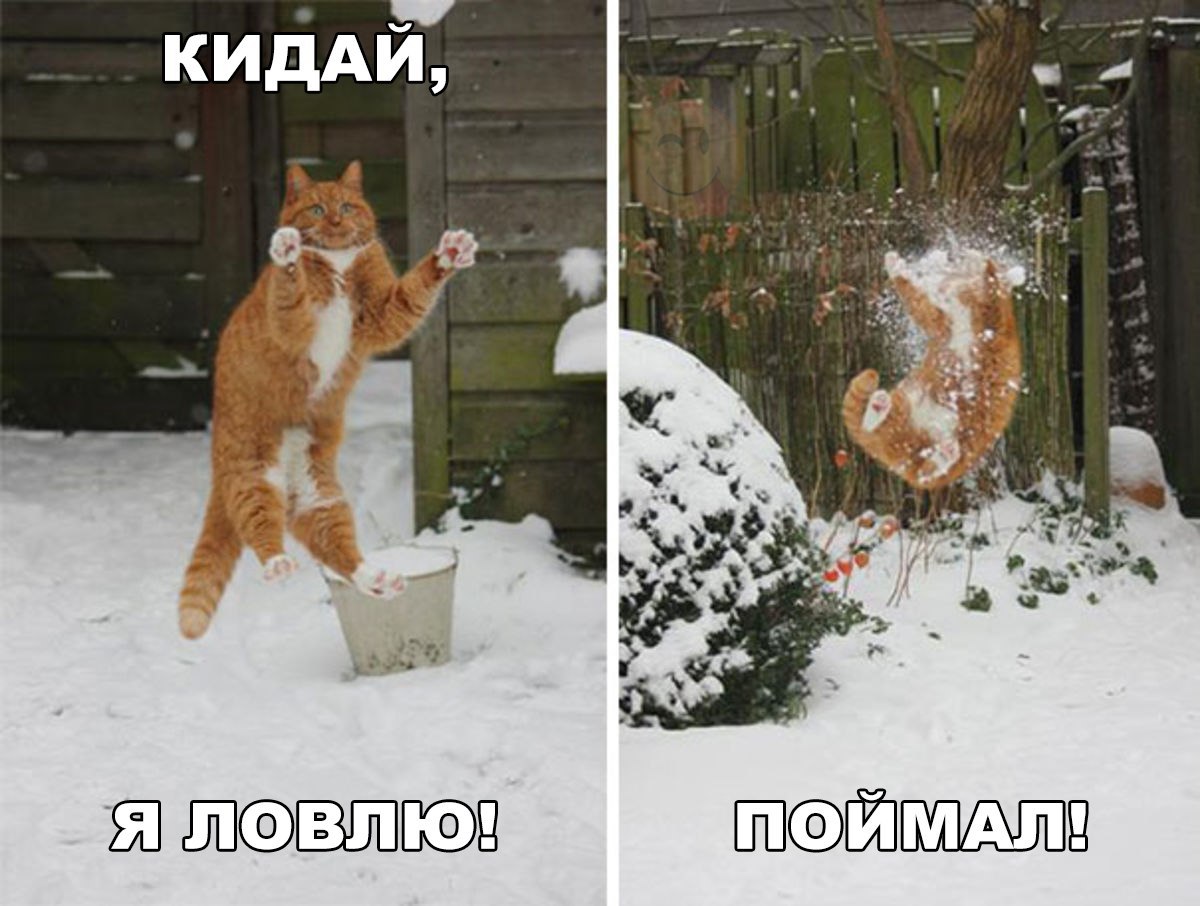 Кидаем Фото Бывших