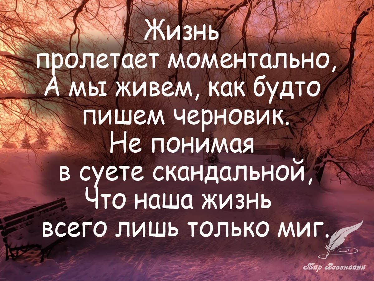 Цитаты про живые фото