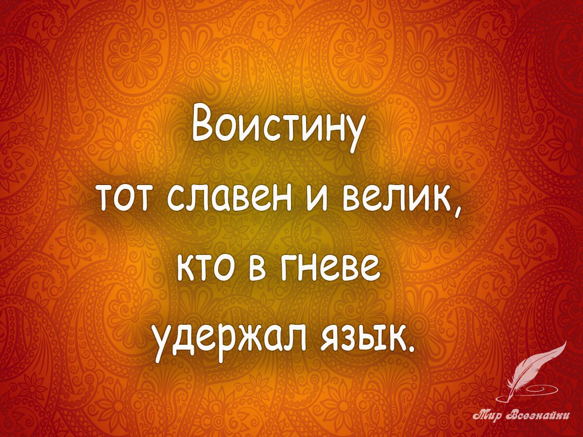Картинки с умными надписями в контакте