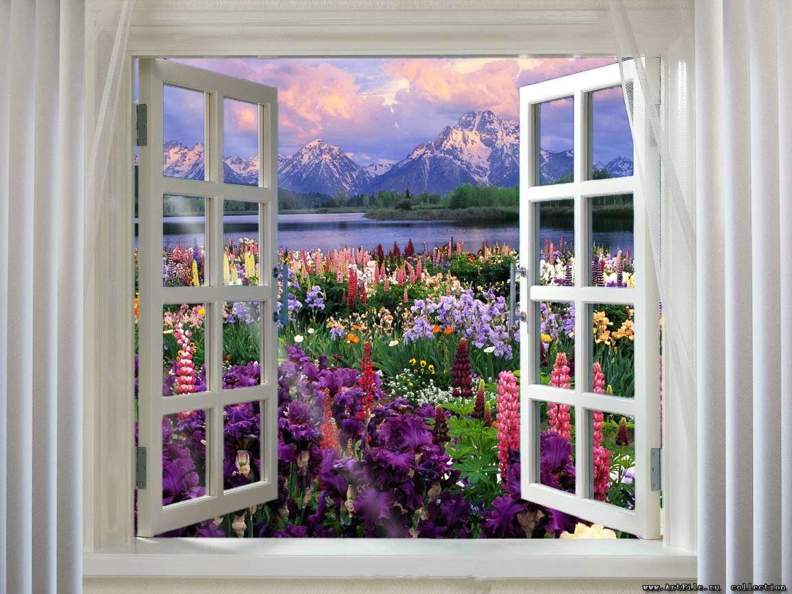 Фотообои вид из окна на сад