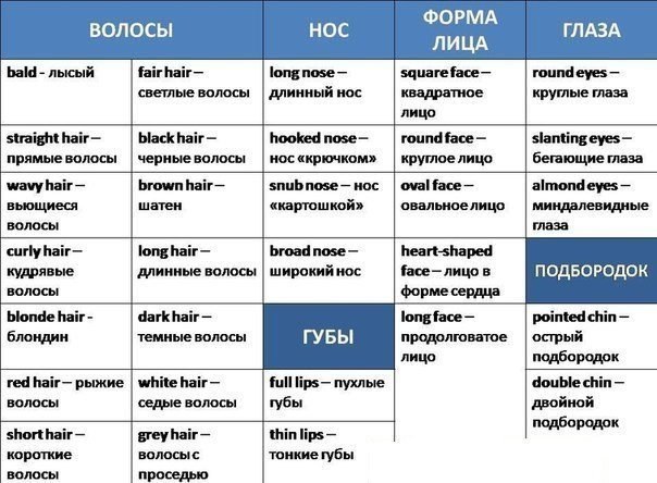 Описание человека по плану 7 класс